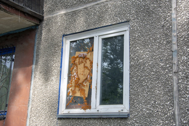 用自己的手去修理劣质的破窗，而不需要打电话给专家图片下载