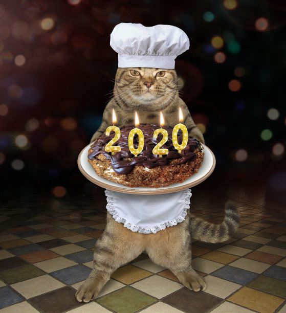 猫抱着2020年圣诞蛋糕图片下载
