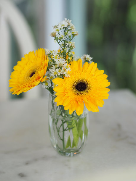 黄色非洲菊花美丽的花束在水玻璃上五颜六色美丽图片下载