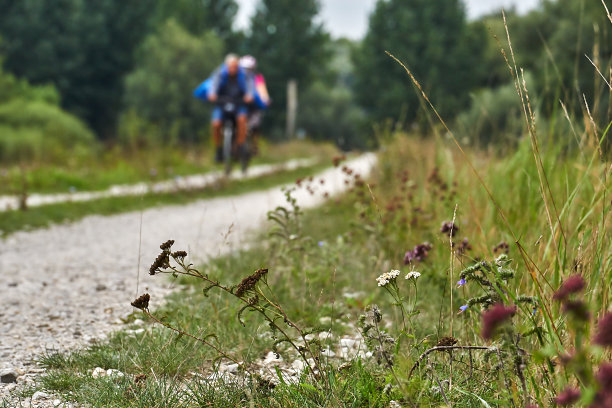 骑自行车的人图片下载
