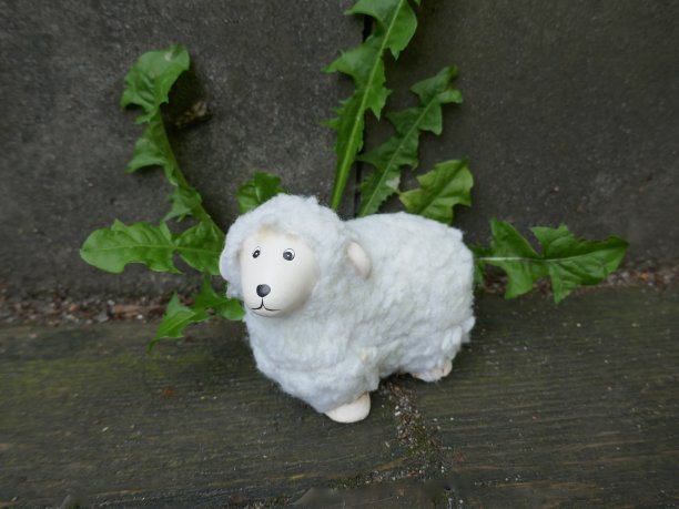 毛茸茸的小羔羊。孤独的失去了可爱的玩具在路上的边缘。图片下载