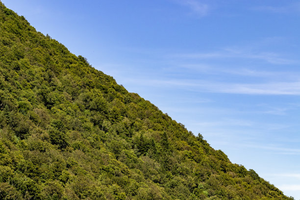 在山的边缘画一条对角线的森林图片下载