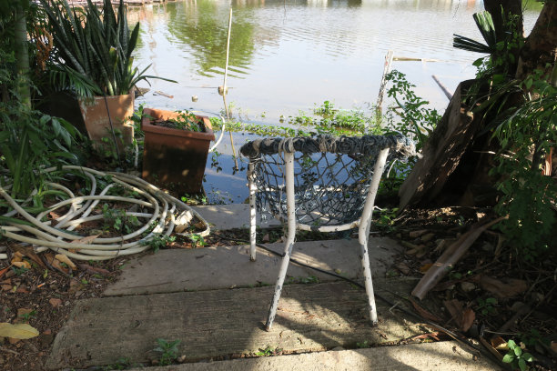 在泰国曼谷一个废弃的湖边图片下载