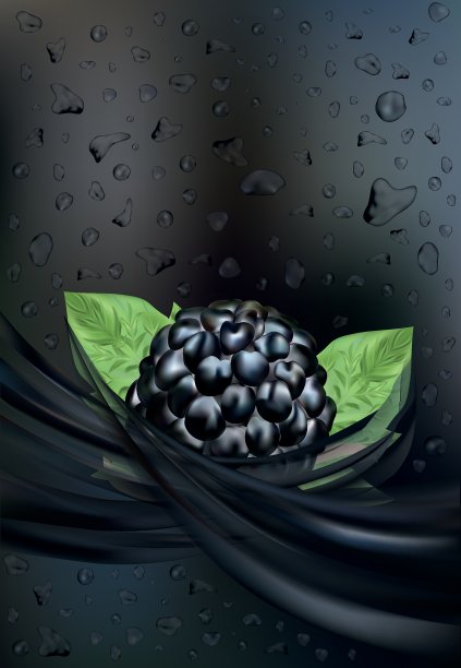 新鲜的黑莓汁。滴汁。水果溅。3D现实的黑覆盆子近距离。美丽的插图。饮料,鸡尾酒。矢量图图片下载