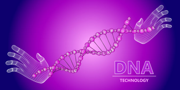 线框DNA分子在手上构造网格。技术和科学的概念。矢量插图。图片下载