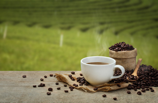 木质桌子和种植园背景上放着热咖啡杯和咖啡豆图片下载