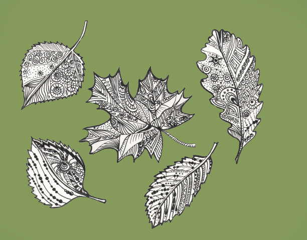 秋天的树叶涂鸦树set图片下载