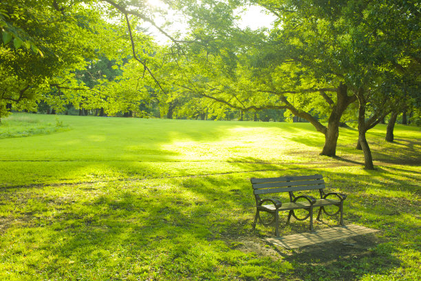 花园的长椅上图片下载