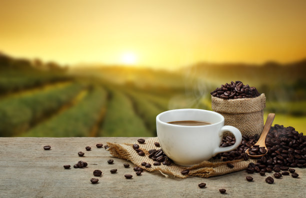 木质桌子和种植园背景上放着热咖啡杯和咖啡豆图片下载