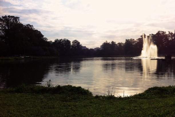 公园分。图片下载