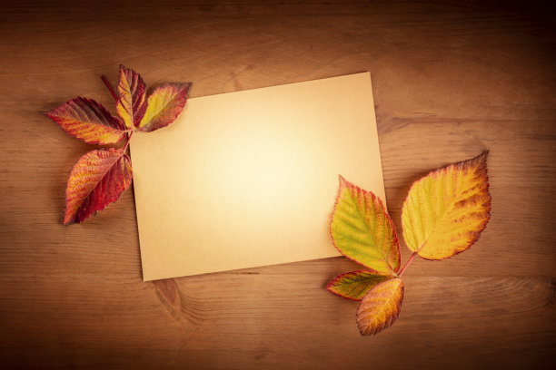 秋天的背景与充满活力的落叶与牛皮纸卡，设计模板的传单，邀请，或礼品卡与文字的地方图片下载