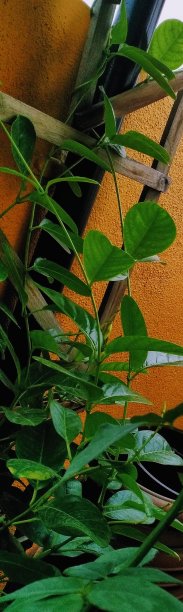 登山者图片下载