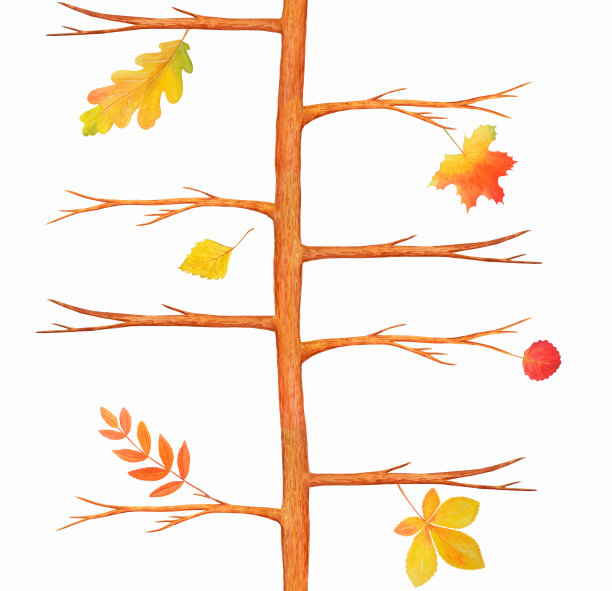 无缝纹理的树枝和树干孤立在白色的背景。图片下载