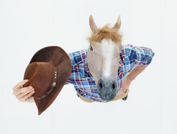 一人独/一人/全身/直接上方观看/仰望30-39岁的成年英俊的人高加索青年男子/男性牛仔站在白人背景谁是幽默/古怪/马图片下载