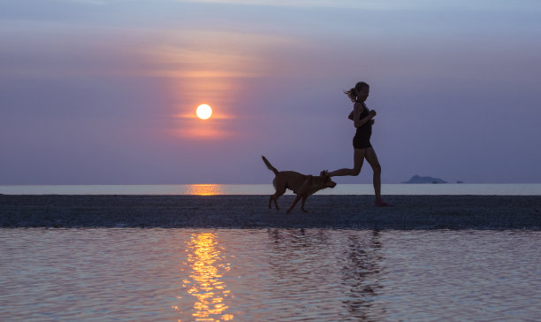 跑步者和狗在沙滩上，剪影图片下载