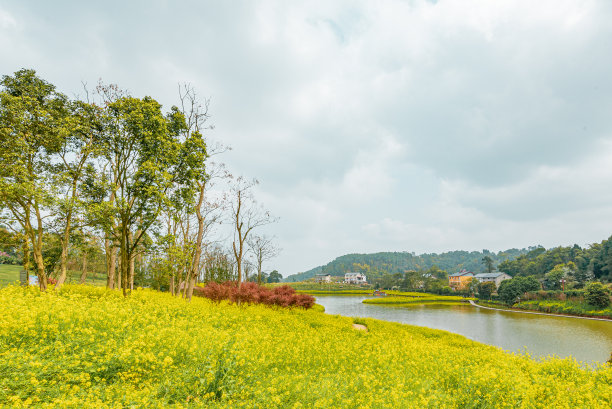 春天的中国重庆乡村风光图片下载