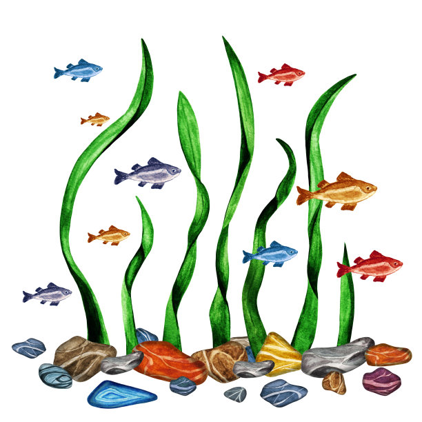 水彩海草，鱼，草，石头图片下载