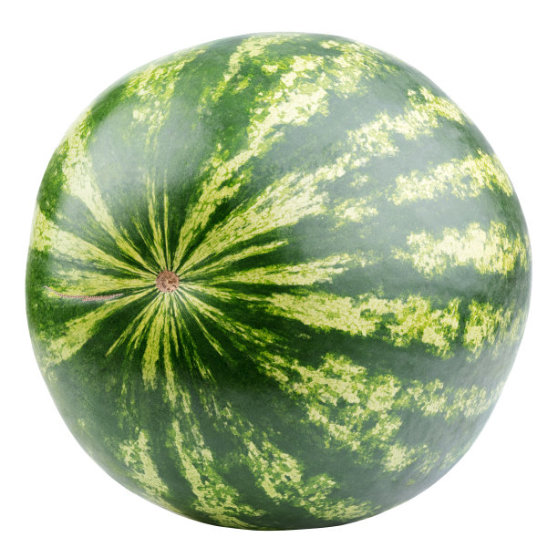 成熟的单一完整的西瓜浆果孤立在白色的背景。一个完整的西瓜和修剪路径。全景深图片下载