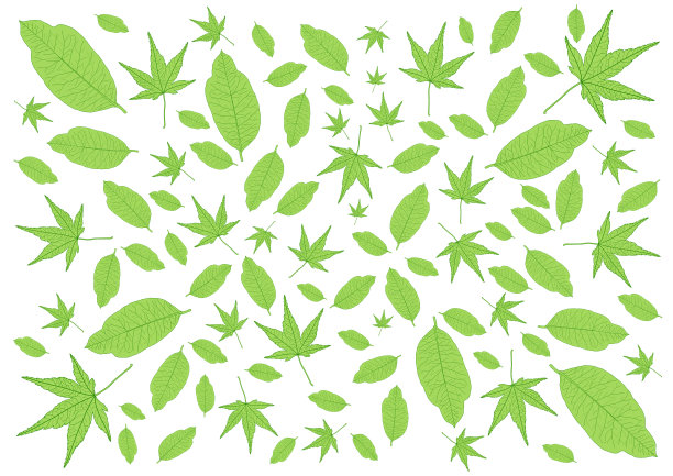 叶子绿色图案上的白色背景插图图片下载