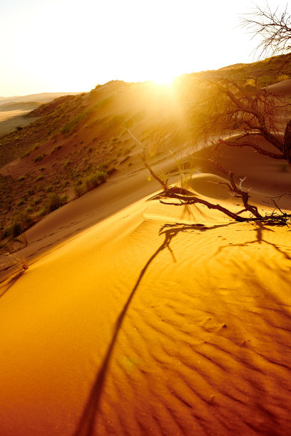 大自然就像一件艺术品图片下载