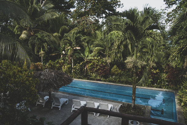 花园中游泳池的田园诗般的景色图片下载