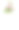 罗莎·阿西库利斯图片下载