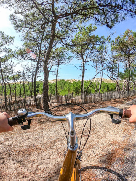 从骑自行车的人的视角看自行车的手柄，背景是海洋沙丘图片下载
