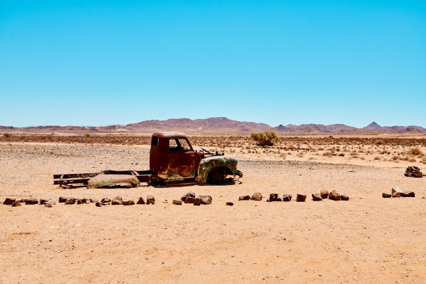 它没能在沙漠中存活下来图片下载