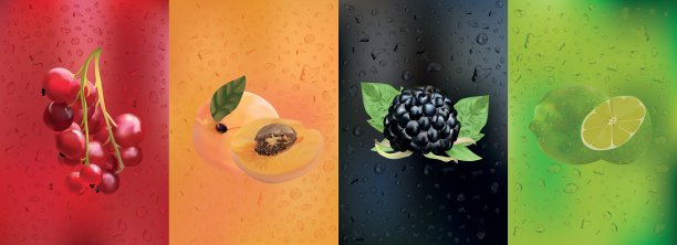 红醋栗、黑莓、杏子、酸橙汁。收集3D逼真的水果。流动的露珠。新鲜水果近距离滴。美丽的矢量图。图片下载