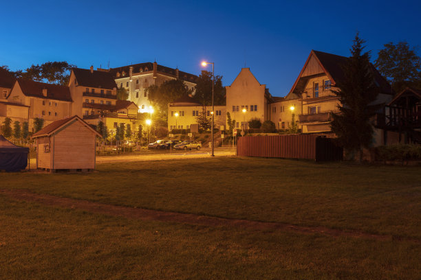 瑞恩市政厅和城市全景图片下载