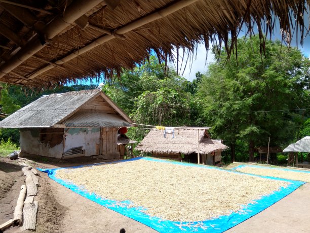 乡村生活图片下载