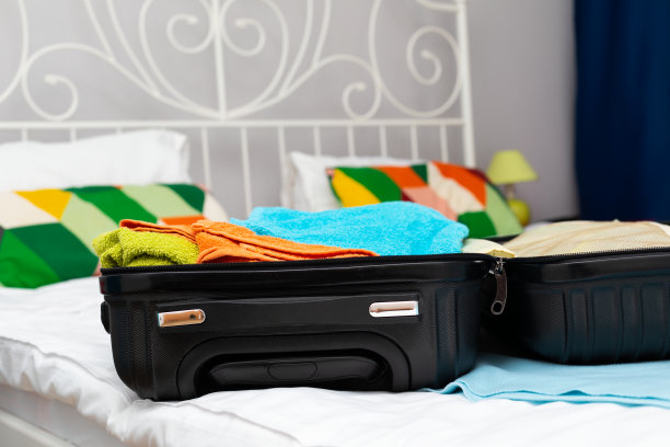 旅行、手提箱、公寓图片下载