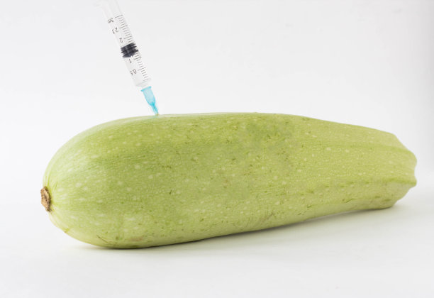 白色背景上的绿色西葫芦，从注射器中注入转基因和硝酸盐，特写，转基因生物，骨髓图片下载