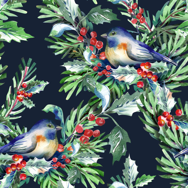 圣诞无缝图案与鸟类。图片下载