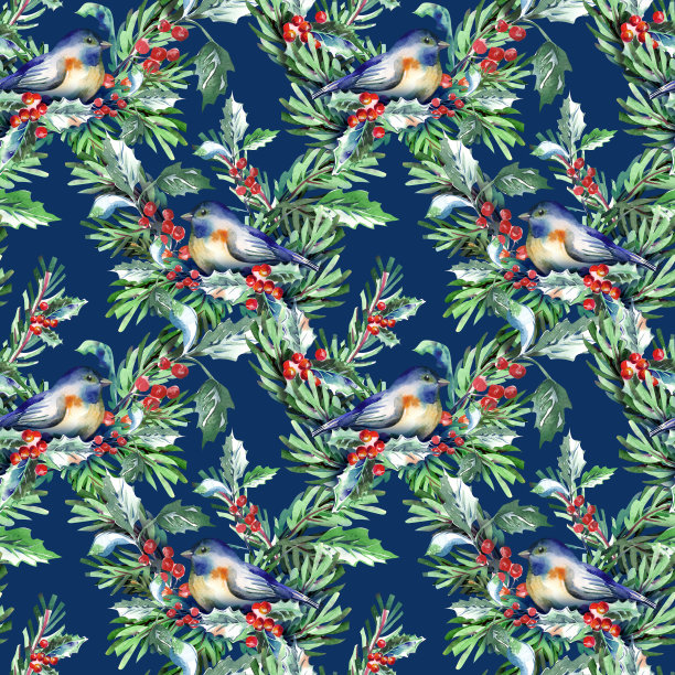 圣诞无缝图案与鸟类。图片下载