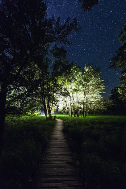 木板路上图片下载