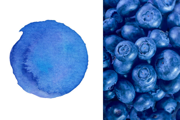两个创造性的层为您的标志-水彩纹理和蓝莓纹理背景图片下载