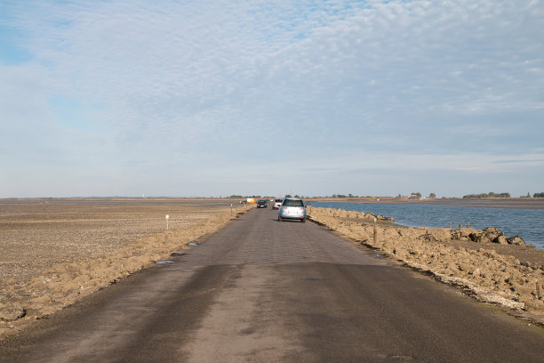 戈伊斯·德·诺瓦莫蒂埃图片下载