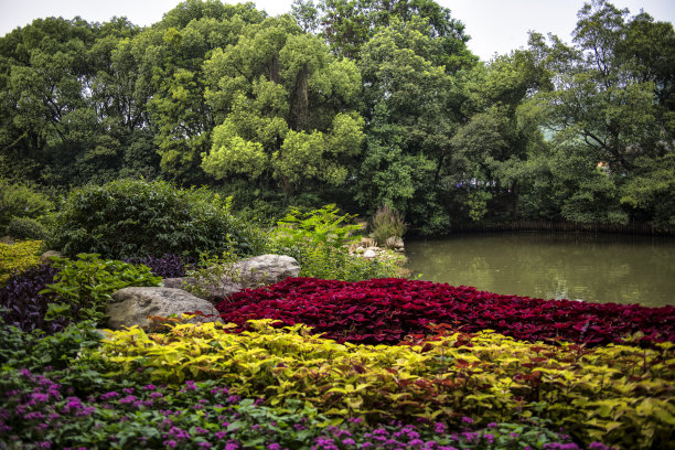 梅园色彩鲜艳图片下载