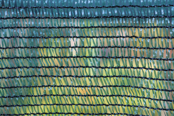 模糊背景上的绿色网格纹理图片下载