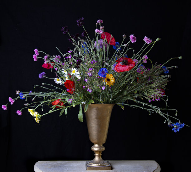 美丽的鲜花图片下载