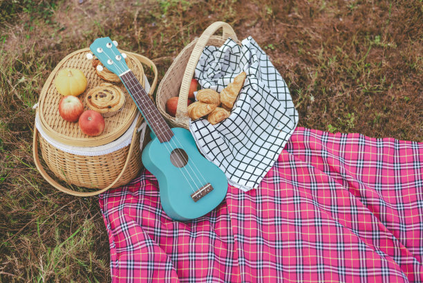草地上的野餐篮，毯子上放着食物和饮料。图片下载