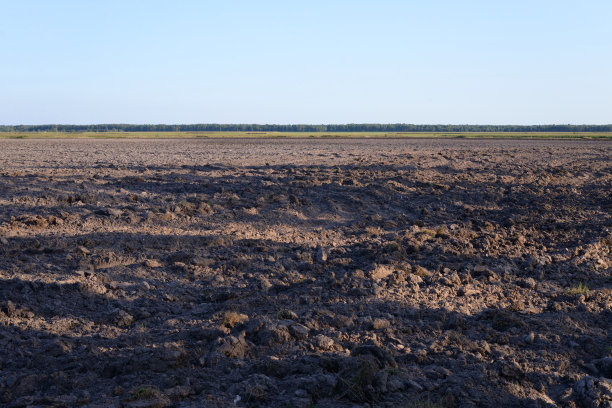 在八月犁过地。图片下载