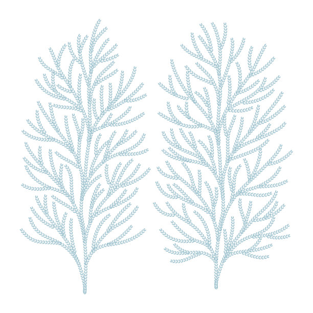 罗汉柏叶矢量图图片下载