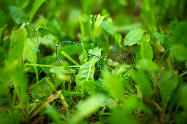薄框隐形眼镜躺在草地上图片下载