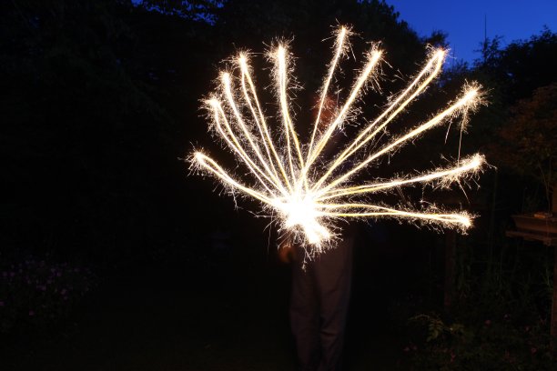 图像的光流效果摄影技术，长时间曝光照片的随机线从一个中心点在夜间花园图片下载