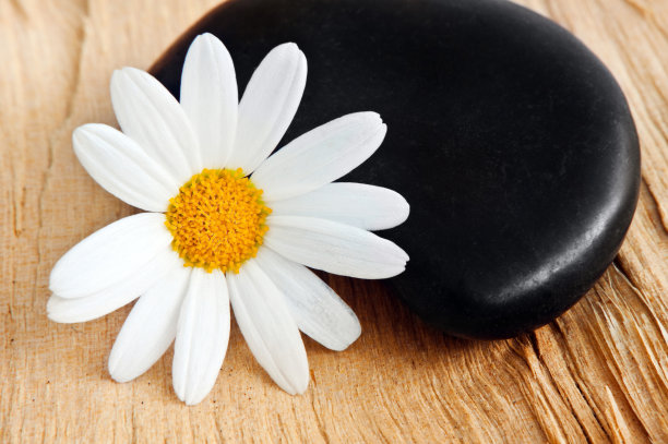 养生石和鲜花图片下载