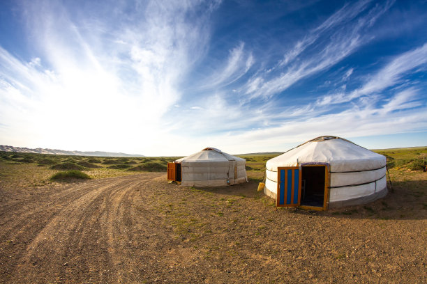 传统的蒙古包和日落时的一对奶牛。戈壁沙漠、蒙古。图片下载