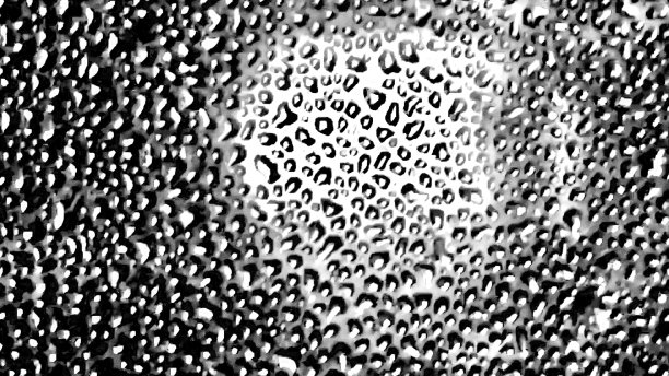 水滴落在黑白窗户上图片下载