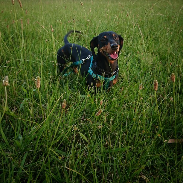 幸福是……图片下载